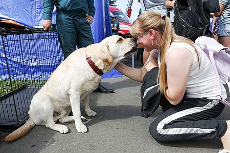 Фестиваль авиационного спорта #Пронебо