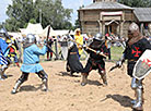 Рыцарскія баі