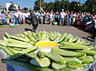 Cucumber Day in Shklov