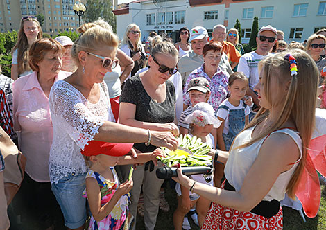 Cucumber Day in Shklov