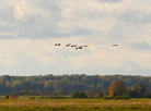 Belarus’ nature: “Birds’ Paradise” of Belarusian Poozerye