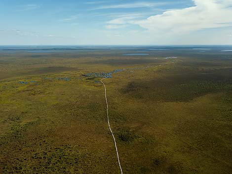 National landscape reserve Yelnya