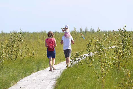 National landscape reserve Yelnya