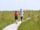 National landscape reserve Yelnya