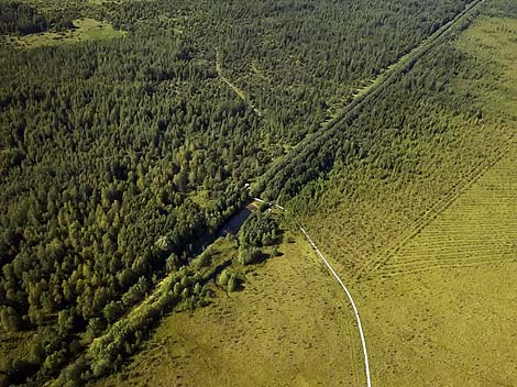 National landscape reserve Yelnya