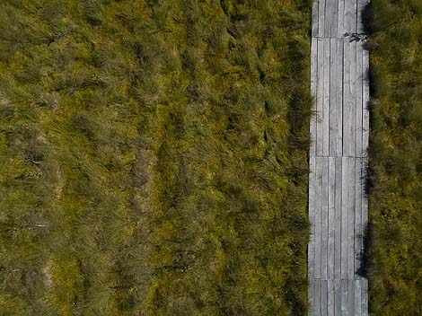 National landscape reserve Yelnya