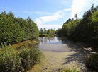 National landscape reserve Yelnya