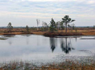 National landscape reserve Yelnya