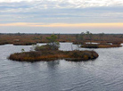 National landscape reserve Yelnya