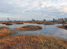 National landscape reserve Yelnya