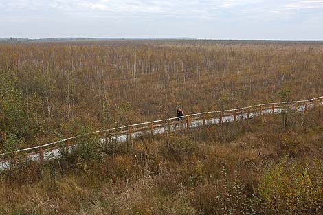 Рэспубліканскі ландшафтны заказнік 