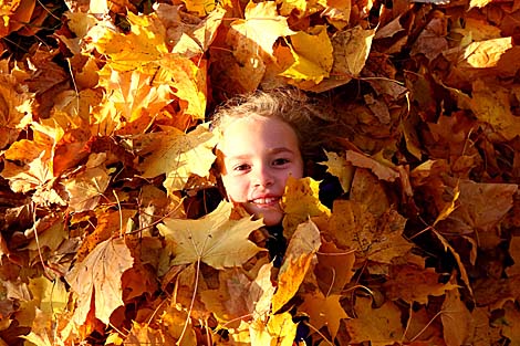 Autumn in Belarus 