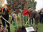 Trees are planted by Valentina Matviyenko, chairperson of the Federation Council of the Federal Assembly of Russia, and Mikhail Myasnikovich, chairperson of the Council of the Republic of the National Assembly of Belarus