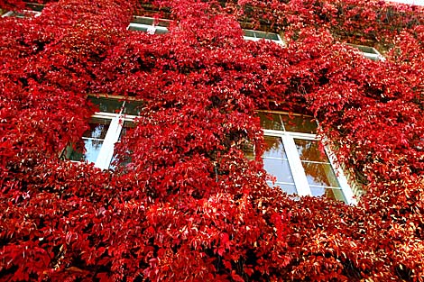 Autumn in Grodno