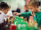 Black Pawn chess festival in Brest