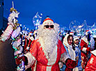 Parade of Father Frosts and Snow Maidens in Minsk