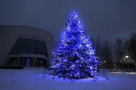 Ёлка каля Гродзенскай філармоніі