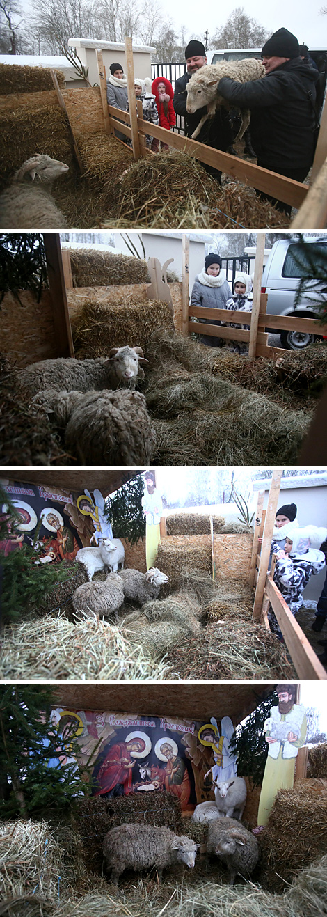 Live Nativity scene in Grodno 