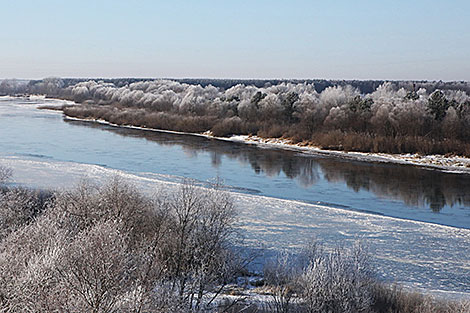 Зимний пейзаж. Гомельский район 