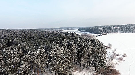 Морозный день под Минском
