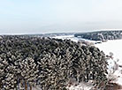 Морозный день под Минском