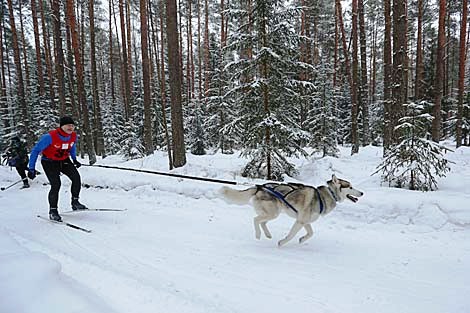 Фестиваль 