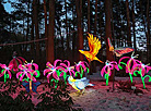 Lantern Festival in Botanical Garden in Minsk