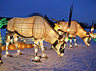 Lantern Festival in Botanical Garden in Minsk