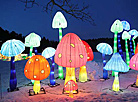 Lantern Festival in Botanical Garden in Minsk