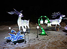 Lantern Festival in Botanical Garden in Minsk