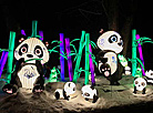 Lantern Festival in Botanical Garden in Minsk