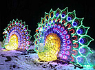 Фестиваль китайских фонарей в Ботаническом саду