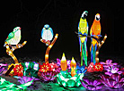 Фестиваль китайских фонарей в Ботаническом саду
