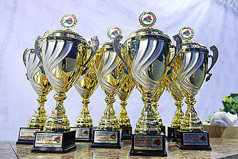 Адкрыты чэмпіянат Беларусі па самба ў Мінску