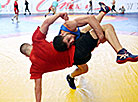 Belarusian wrestlers gear up for 2nd European Games