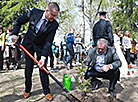 Аллея памяти захороненных деревень