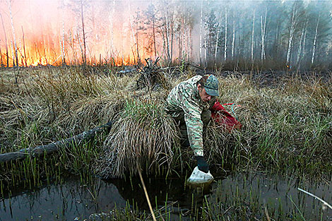 Пожар в заказнике 