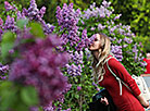 Lilac Blooms at Minsk Botanical Garden