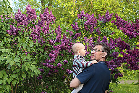 Lilac Blooms at Minsk Botanical Garden