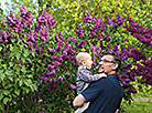 Lilac Blooms at Minsk Botanical Garden