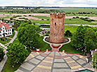 Белая Вежа ў Камянцы