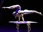 Belarusian circus launches new show 