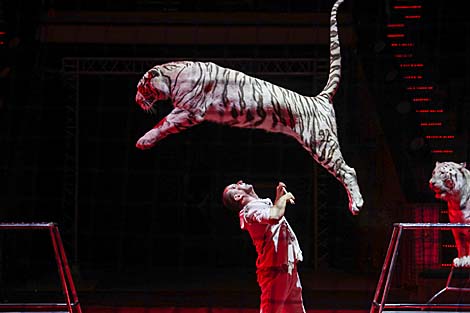 Belarusian circus launches new show 