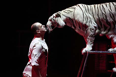 Belarusian circus launches new show 