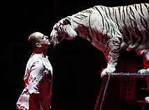 空中杂技，与袋鼠的拳击比赛和与白虎的“亲吻” —白罗斯国家马戏团推出了第二届欧洲运动会的新节目