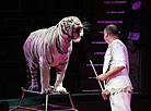 Belarusian circus launches new show 