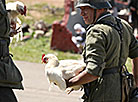 Military history reenactment during Bagration Festival