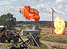 Military history reenactment during Bagration Festival