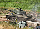 Military history reenactment during Bagration Festival