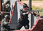 Military history reenactment during Bagration Festival